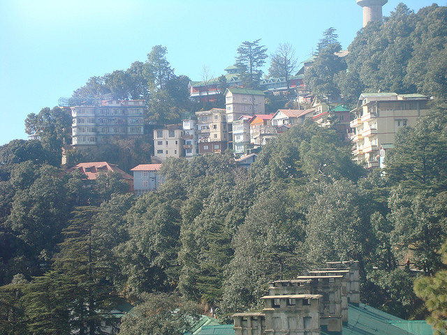 Shimla